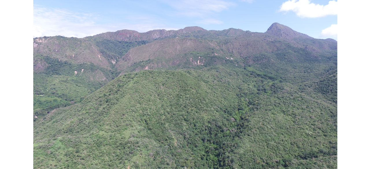 4. Reserva Natural de la Sociedad Civil “Cerro Matambo”