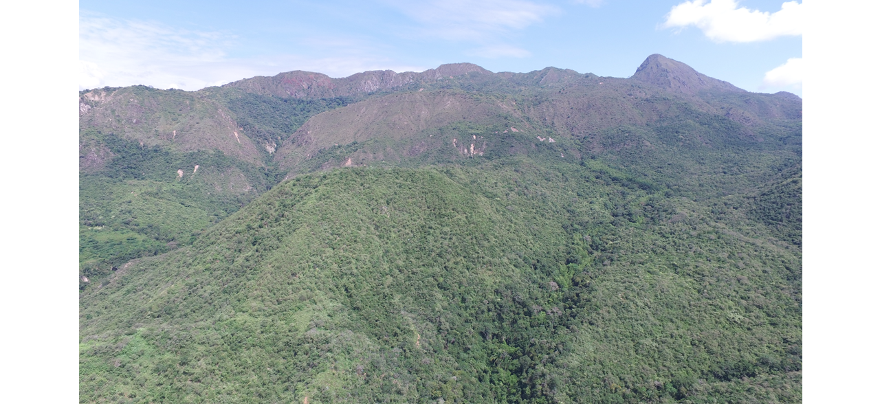4. Reserva Natural de la Sociedad Civil “Cerro Matambo” 4. Reserva Natural de la Sociedad Civil “Cerro Matambo”