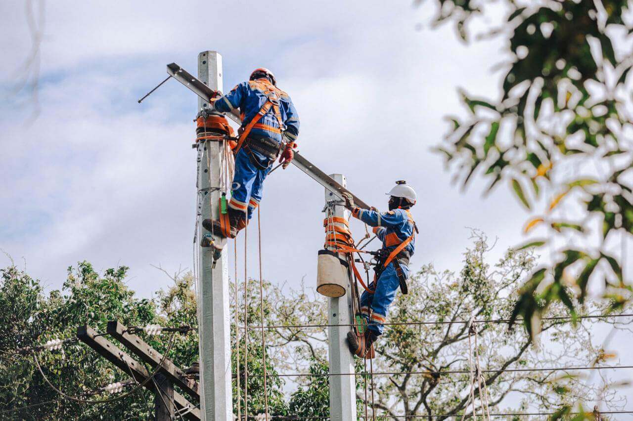 Técnicos de Enel Colombia con arnés de seguridad realizando mantenimiento en postes eléctricos
