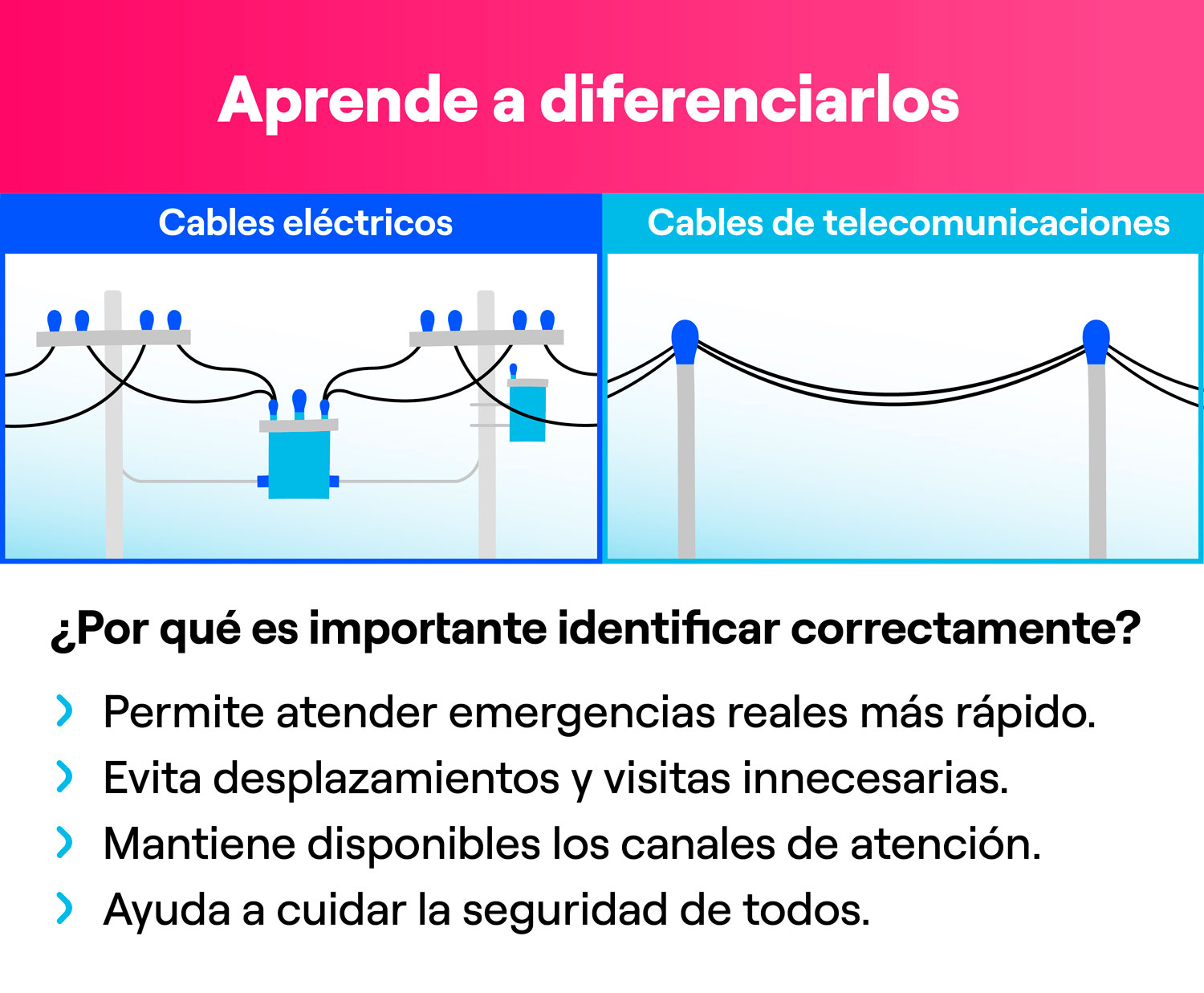 Comparación visual entre cables eléctricos y cables de telecomunicaciones para aprender a diferenciarlos
