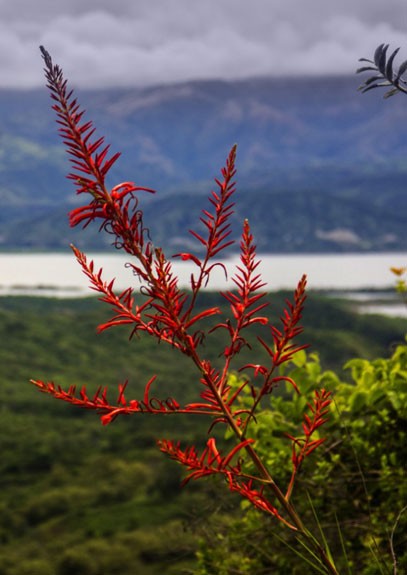 cuidamos-del-medio-ambiente-thumb