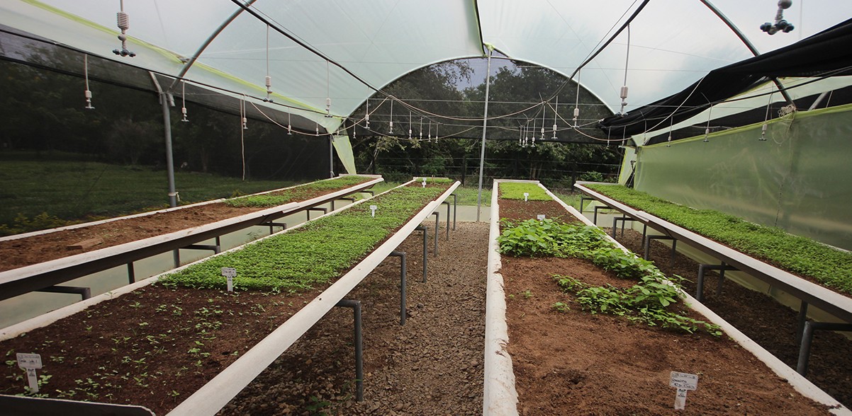 Huerta