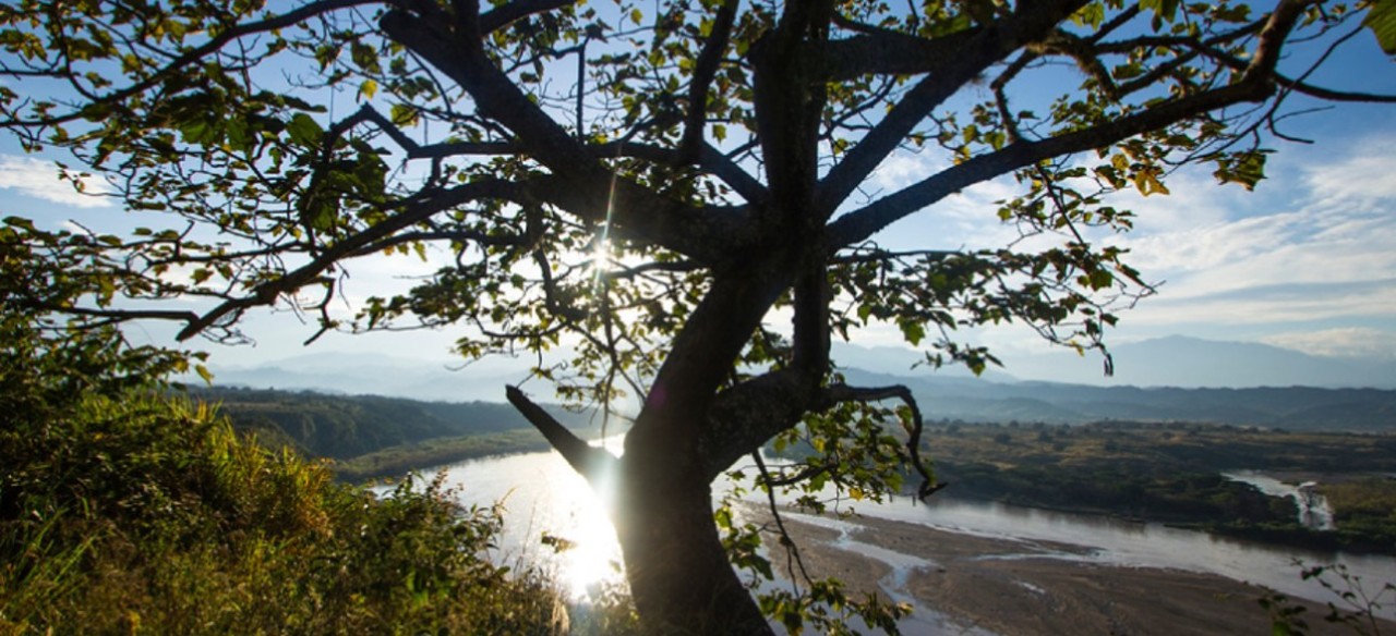 Desde Enel Colombia trabajamos en cuatro formas para cuidar y conservar los diferentes ecosistemas.