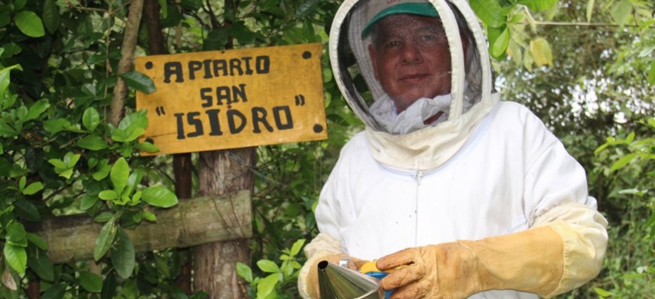 Apiario San Isidro