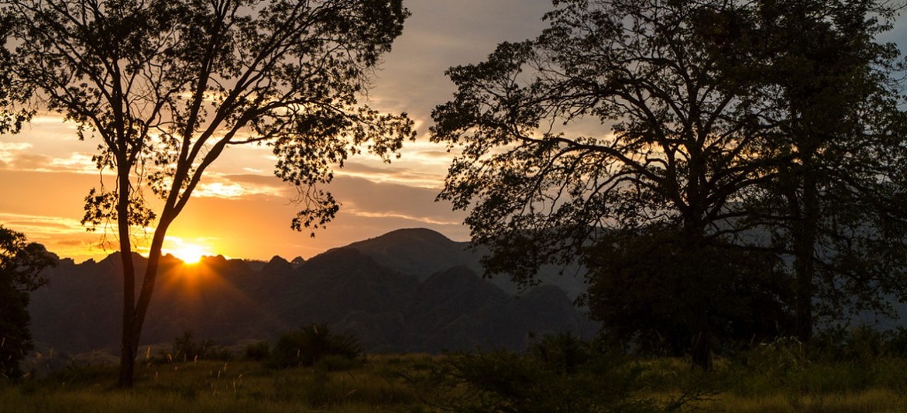 Desde Enel Colombia trabajamos en 4 formas para cuidar y conservar los diferentes ecosistemas.