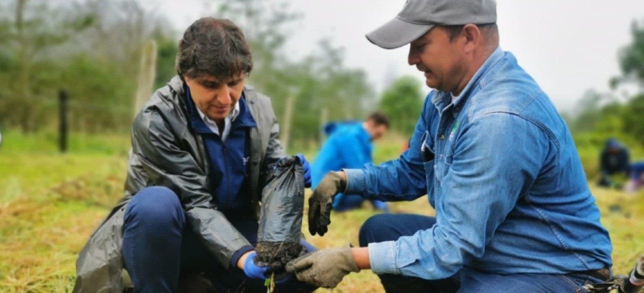 Siembra de árboles en Enel Colombia.