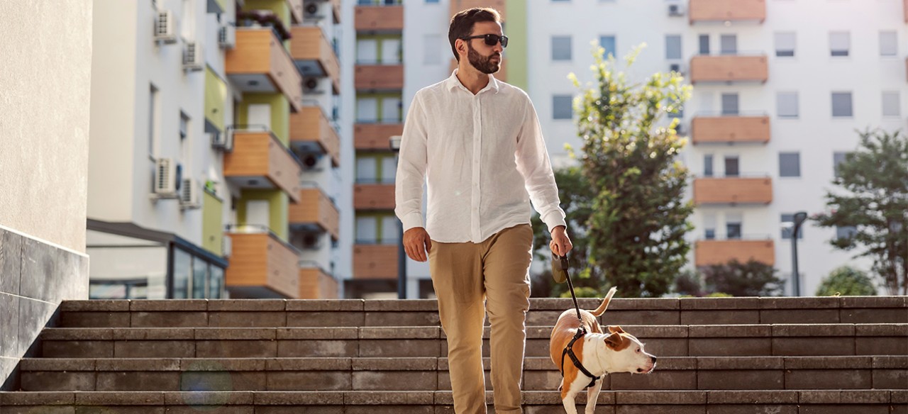 cómo hacer para que mi perro no muerda a una persona o animal.