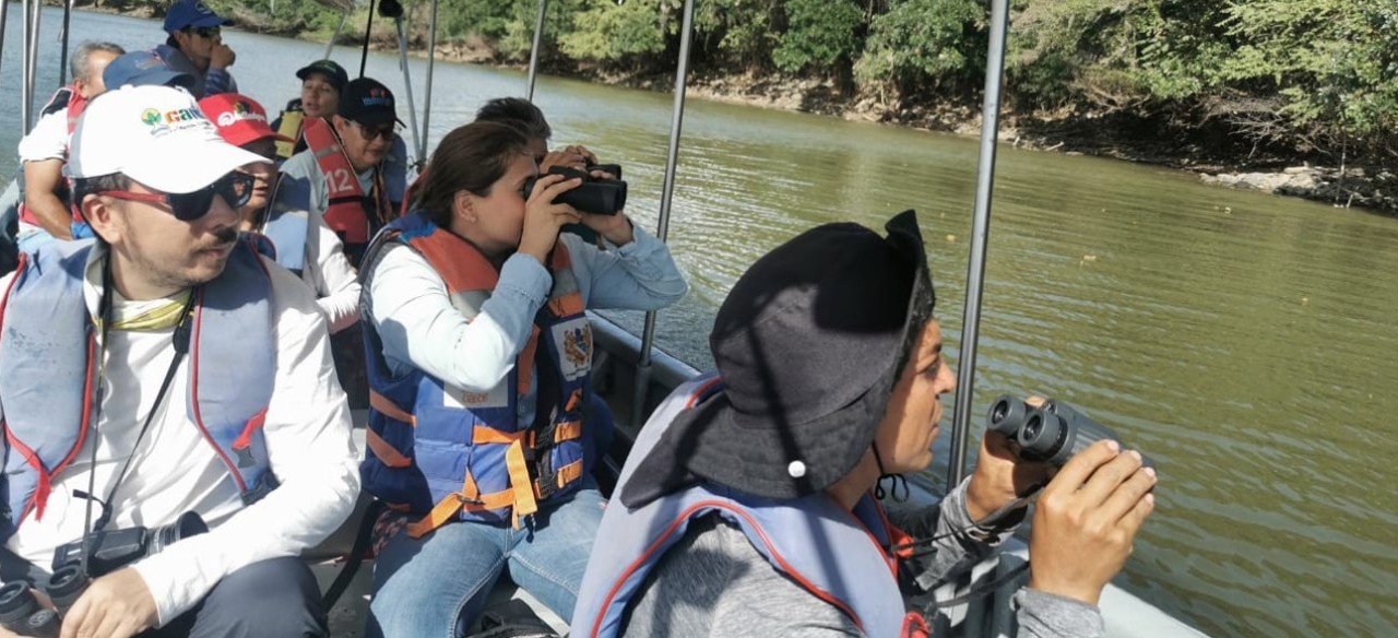 Participantes del Global Big Day fotografiando aves desde una embarcación en un embalse de Enel Colombia
