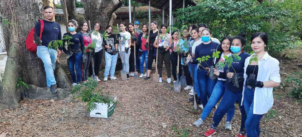 Jornada de restauración del Parque Bosque, una de las iniciativas del Programa de Educación Ambiental.