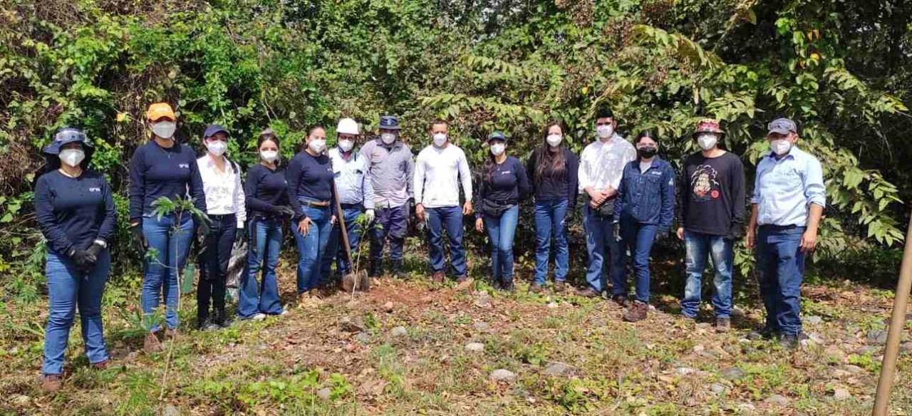 Grupo realizando siembra de árboles en la central hidroeléctrica Betania, una de las iniciativas del Programa de Educación Ambiental.