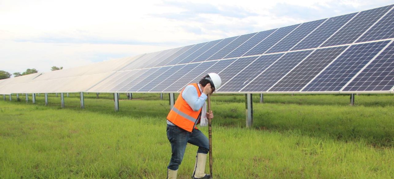 Iniciativas agropecuarias al interior de los parques fotovoltaicos de Enel Colombia.