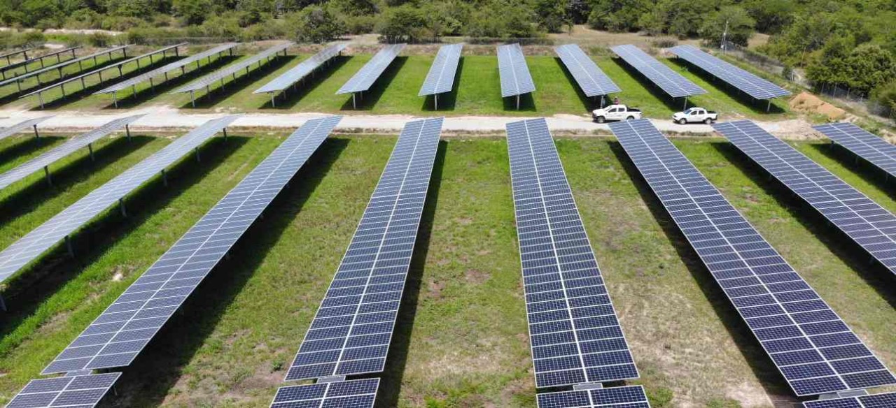 Iniciativas agropecuarias sostenibles en parques solares de Enel Colombia.