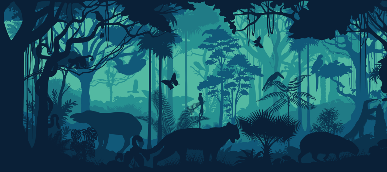 Animales en un bosque