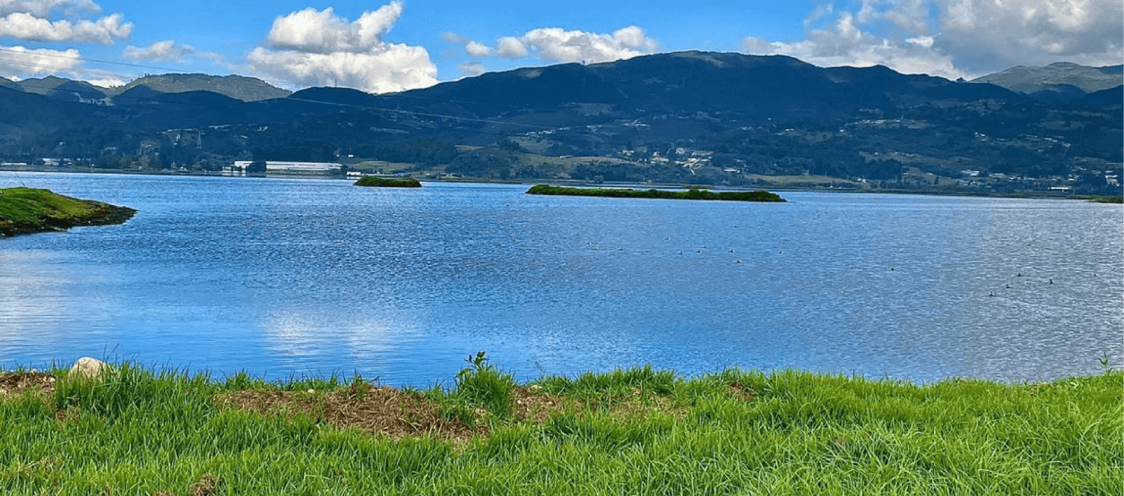 Río Bogotá