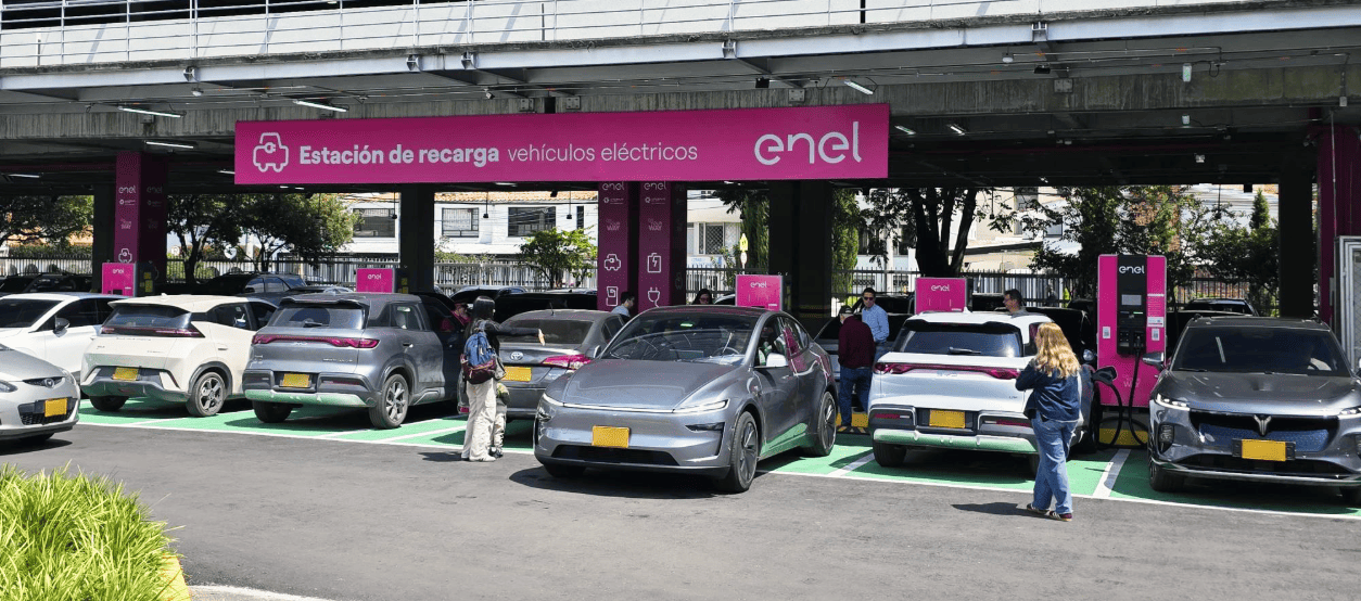 Trabajadores de Enel Colombia con equipos de seguridad en mantenimiento preventivo de redes eléctricas en zona rural