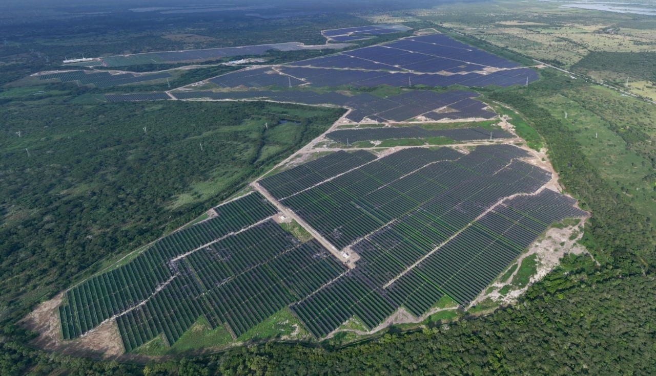 Vista aérea de un parque solar de Enel rodeado de vegetación, con hileras de paneles fotovoltaicos y vías internas