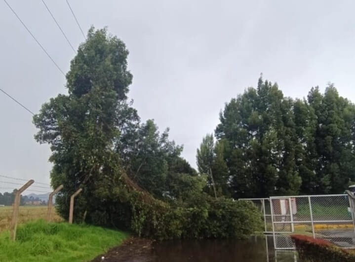 Árbol inclinado por fuertes lluvias cerca de una línea eléctrica en zona rural de Cundinamarca durante la temporada invernal.