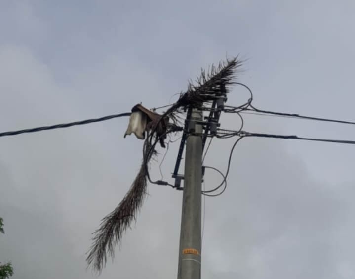 Poste de energía con cables y ramas enredadas tras fuertes lluvias durante la temporada invernal.