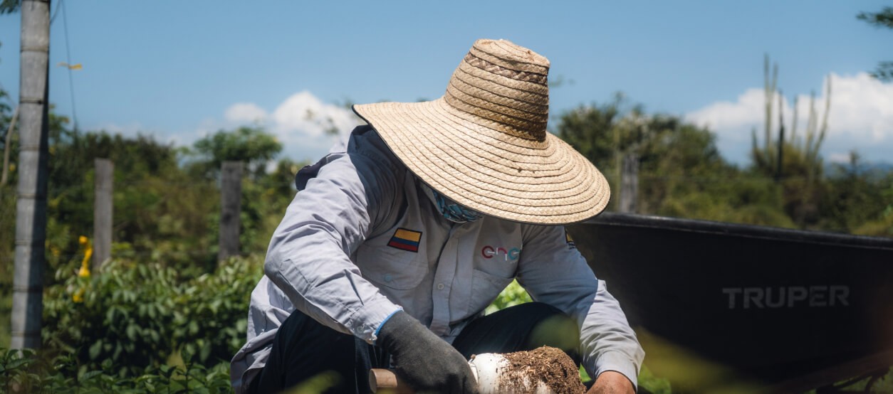 Trabajador sembrando especies nativas en Plan de Restauración Ecológica Bosque Seco Tropical – Huila