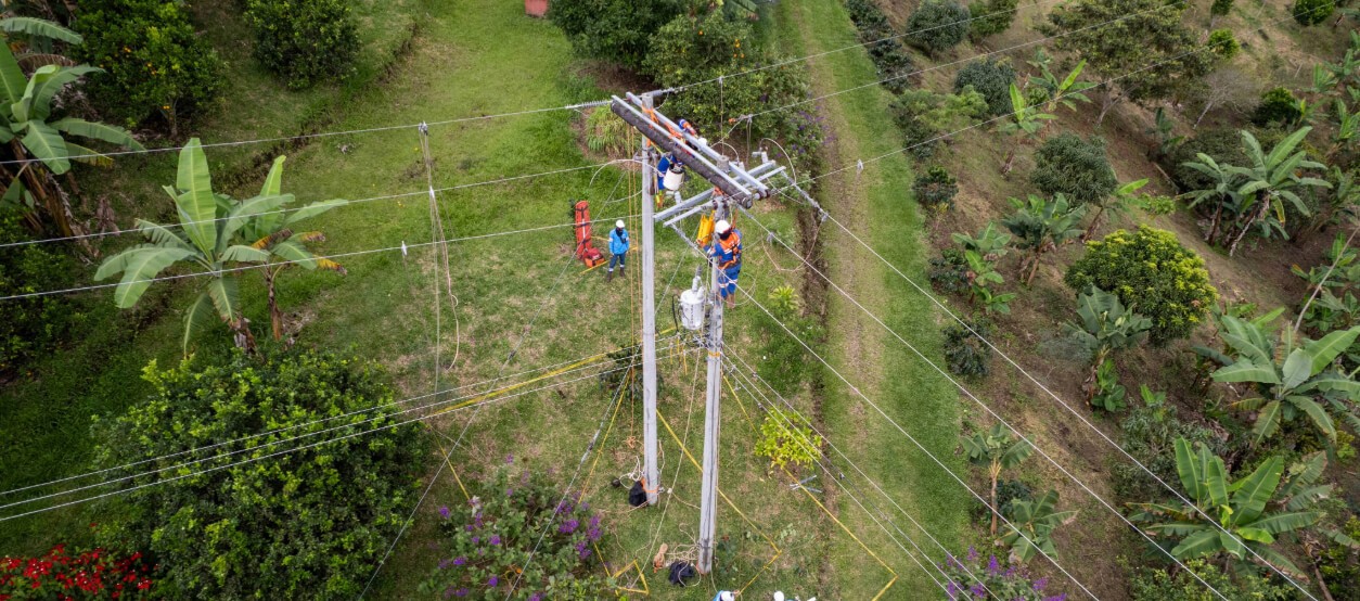 Trabajos de mantenimiento en red eléctrica en zona rural