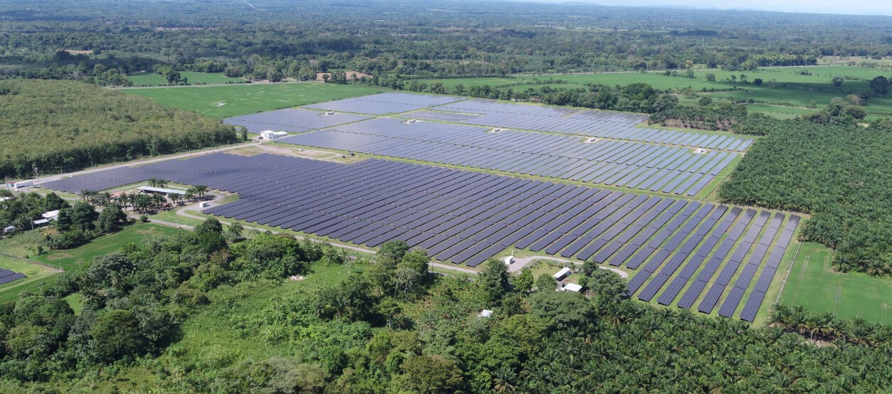 Vista aérea de una planta solar con filas de paneles fotovoltaicos rodeadas de vegetación