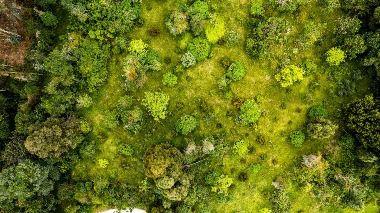 La Loma y Fundación, parques solares de Enel Colombia, declaran el inicio de su operación comercial 