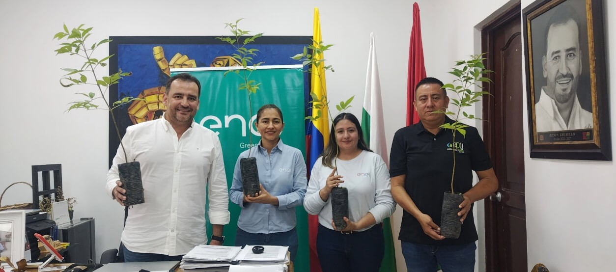 Cundinamarca al 100%: Enel Colombia iluminó más de 1.000 hogares en zonas rurales durante el 2024