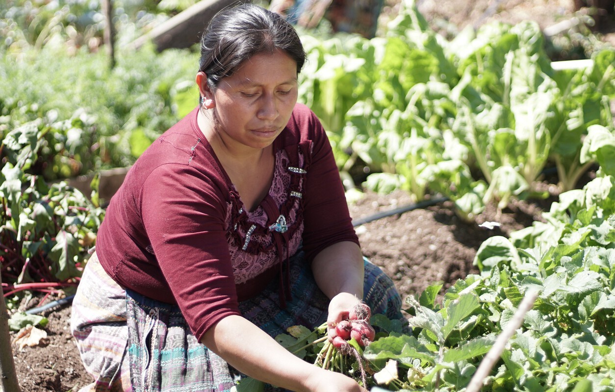 mujer campesina recogiendo su cosecha